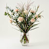 Dreamy Carnation Online