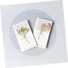 Shop Dried Flower Card - Assorted - Set Of 2