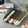 Shop Egg Storage Tray - Compact - Single Piece