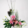 Elegance High Arrangement Online