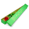 Elegant rose in a box Online