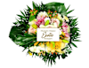 Exotica Online