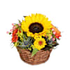 Fleurop Flower arrangement Sunny Kiss Online