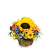 Fleurop Flower arrangement Sunny Kiss Online