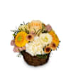 Flower arrangement Bright Surprise Online