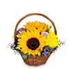 Flower arrangement Power of Summer Online