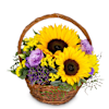 Flower arrangement Power of Summer Online