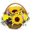 Flower arrangement Power of Summer Online