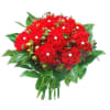 Flowers- carnations. Online