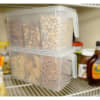 Fridge Organizer With Handle - Single Piece Online