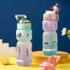 Frosted Plastic Bottle With 3D Stickers - Assorted - 760 ml - Single Piece Online