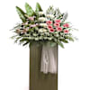 Funeral Arrangement Online