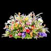 Funeral - Colour splendor Online