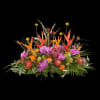 Funeral - Tropical garden Online