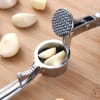 Buy Garlic Press - Assorted - Single Piece