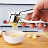 Garlic Press - Assorted - Single Piece Online