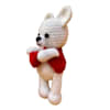 Gift Handmade Crochet Teddy Soft Toy - Single Piece