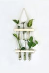 Gift Hanging Planter - Glass Tubes - Wooden - Single Piece