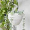 Buy Hanging Planter - Half Ring - White - Single Piece