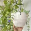 Shop Hanging Planter - Half Ring - White - Single Piece