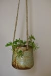 Gift Hanging Planter - Rustic Jade