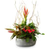 Harmony of colors Online