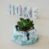 Buy Hexagonal Concrete Planter