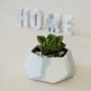 Hexagonal Concrete Planter Online