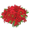 Hot feeling bouquet Online