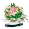 Hyacinths composition Online