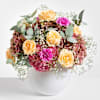 Hydrangea Dream Online