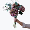 Hydrangea for Fall 240418 Online