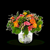 Indian summer Online
