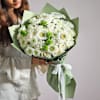Ivory Dreams Online