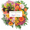 Joy Online