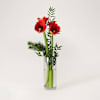 Joyful Christmas Amaryllis Online