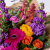 Gift Lanvin in Bloom