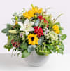 Late Summer Splendor Online
