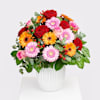 Lovely Greetings Online