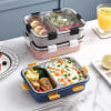 Gift Lunch Box - 2 Compartments - Reheatable - Assorted - Single Piece