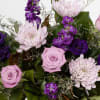 Buy Mauve Bouquet