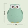 Shop Mechanical Timer - Owl - Assorted - Single Piece