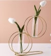 Gift Metal Vase - Double Ring - Test Tube - Single Piece