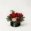 Midwinter box Online