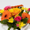 Gift Mini Arrangement Bright and Bold