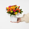 Mini Arrangement Bright and Bold Online