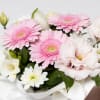 Gift Mini Arrangement Pink and White