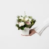 Mini Posy Box Online