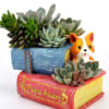 Mini Resin Pot - Book Stack - Assorted - Single Piece Online