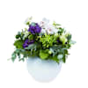Miraculous Power of Flowers Online